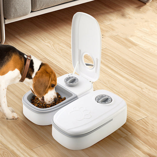 Automatic Cat & Dog Feeder – Stainless Steel Smart Dispenser with Portion Timer